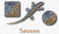 OMS Setonim