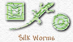OMS Silk Worms