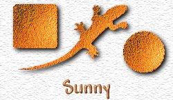 OMS Sunny