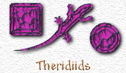 OMS Theridiids