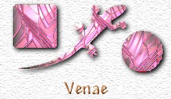 OMS Venae
