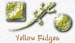 OMS Yellow Ridges