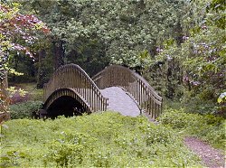 The Rainbows Bridge Poem