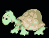 Dancing Turtle
