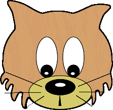 El Gato