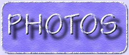 omsds web albums