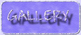 OuttaMyShell Gallery