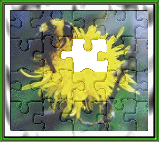 Bee Puzzle w/piece Missing