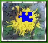 Bee Puzzle w/Selection